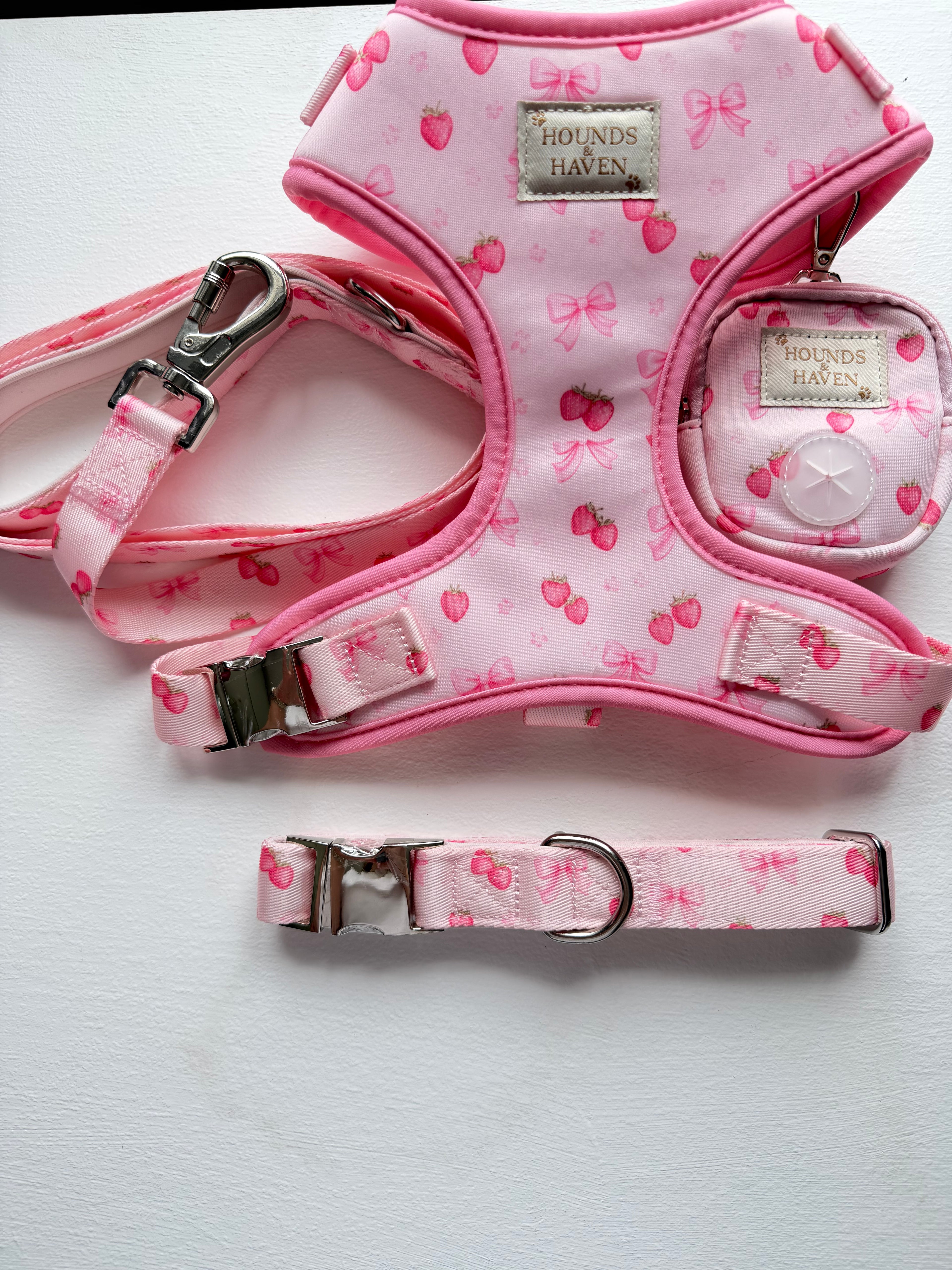 Strawberry Shortcake Collection