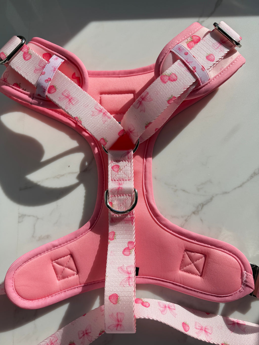 Strawberry Shortcake Harness