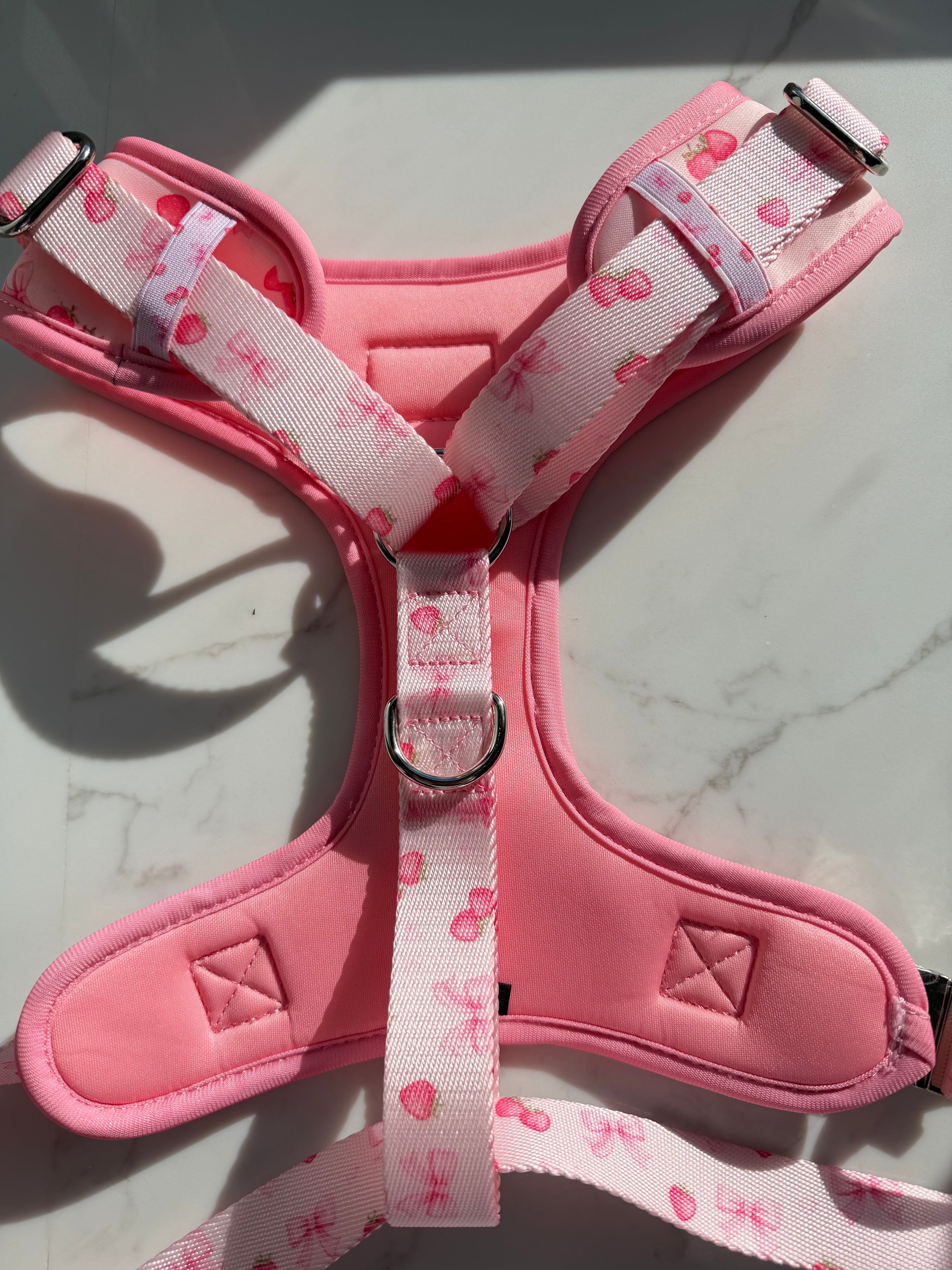 Strawberry Shortcake Harness