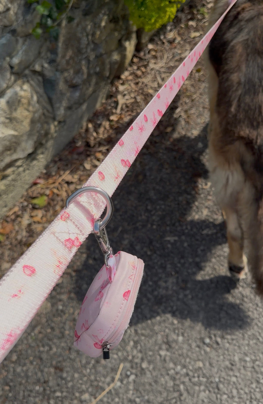 Strawberry Shortcake Leash