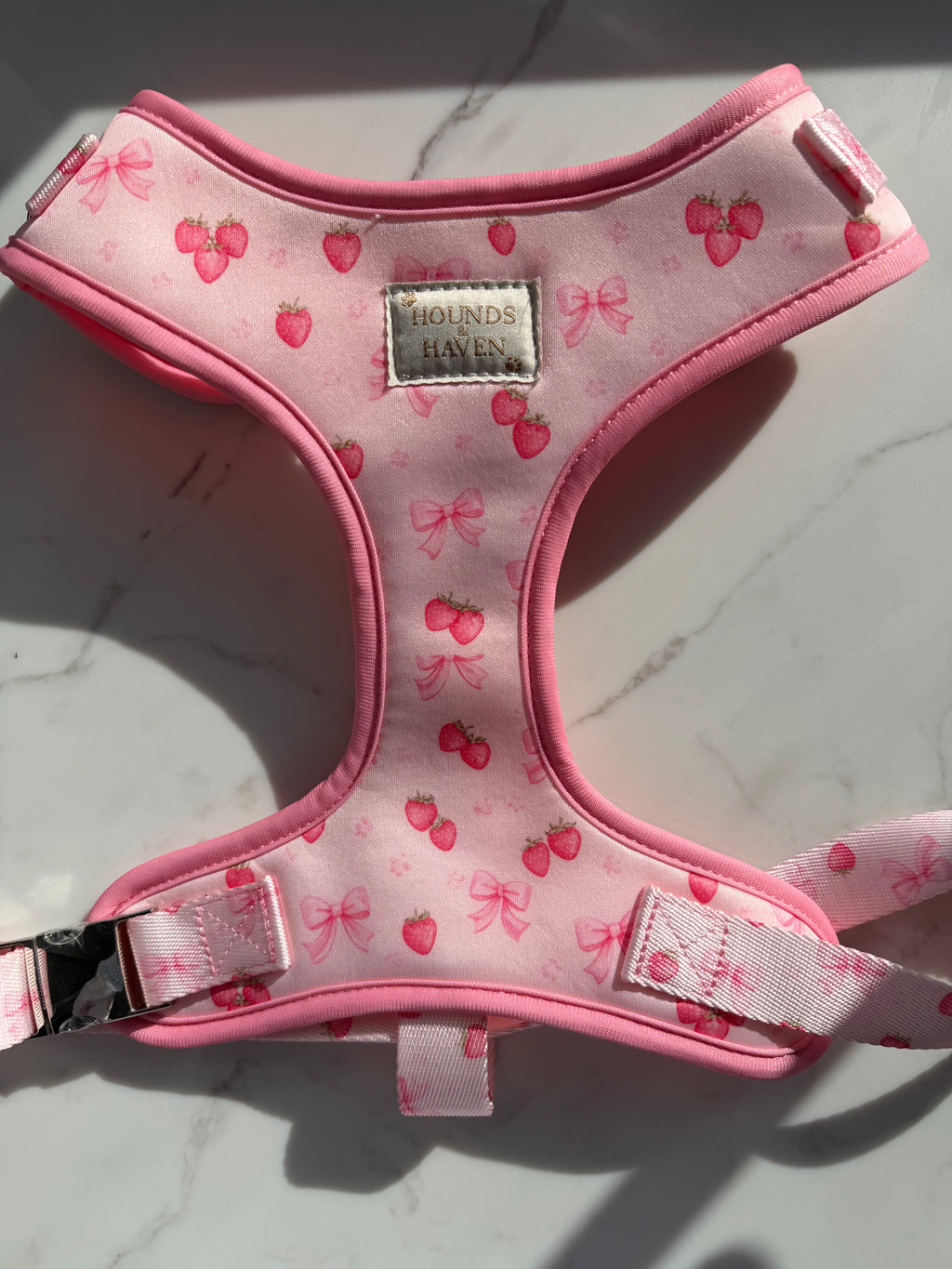 Strawberry Shortcake Harness