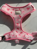 Strawberry Shortcake Harness