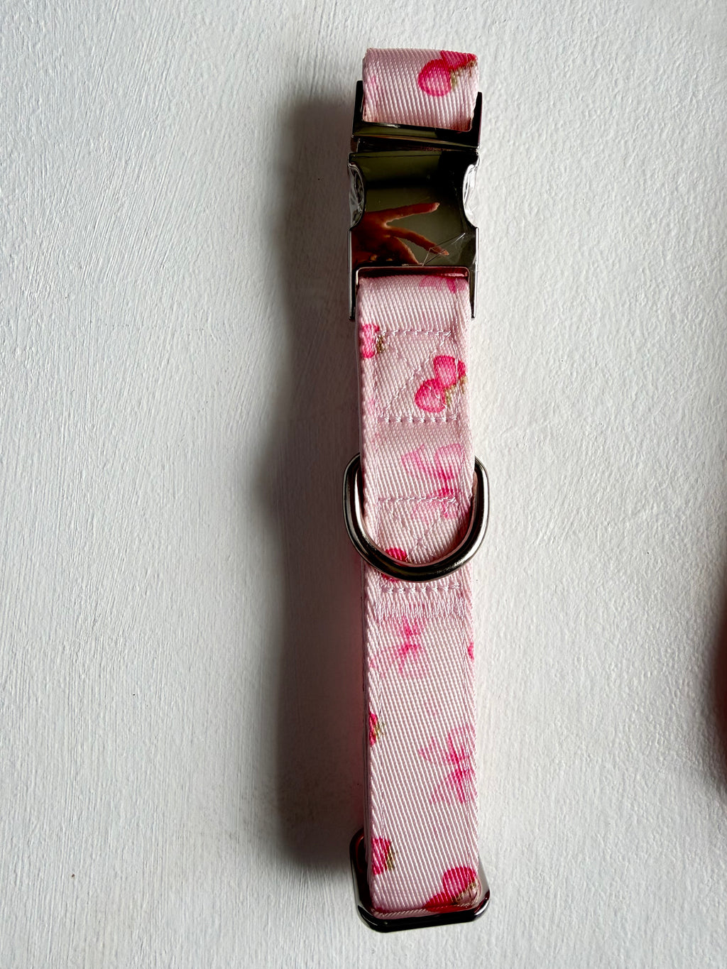 Strawberry Shortcake Collar