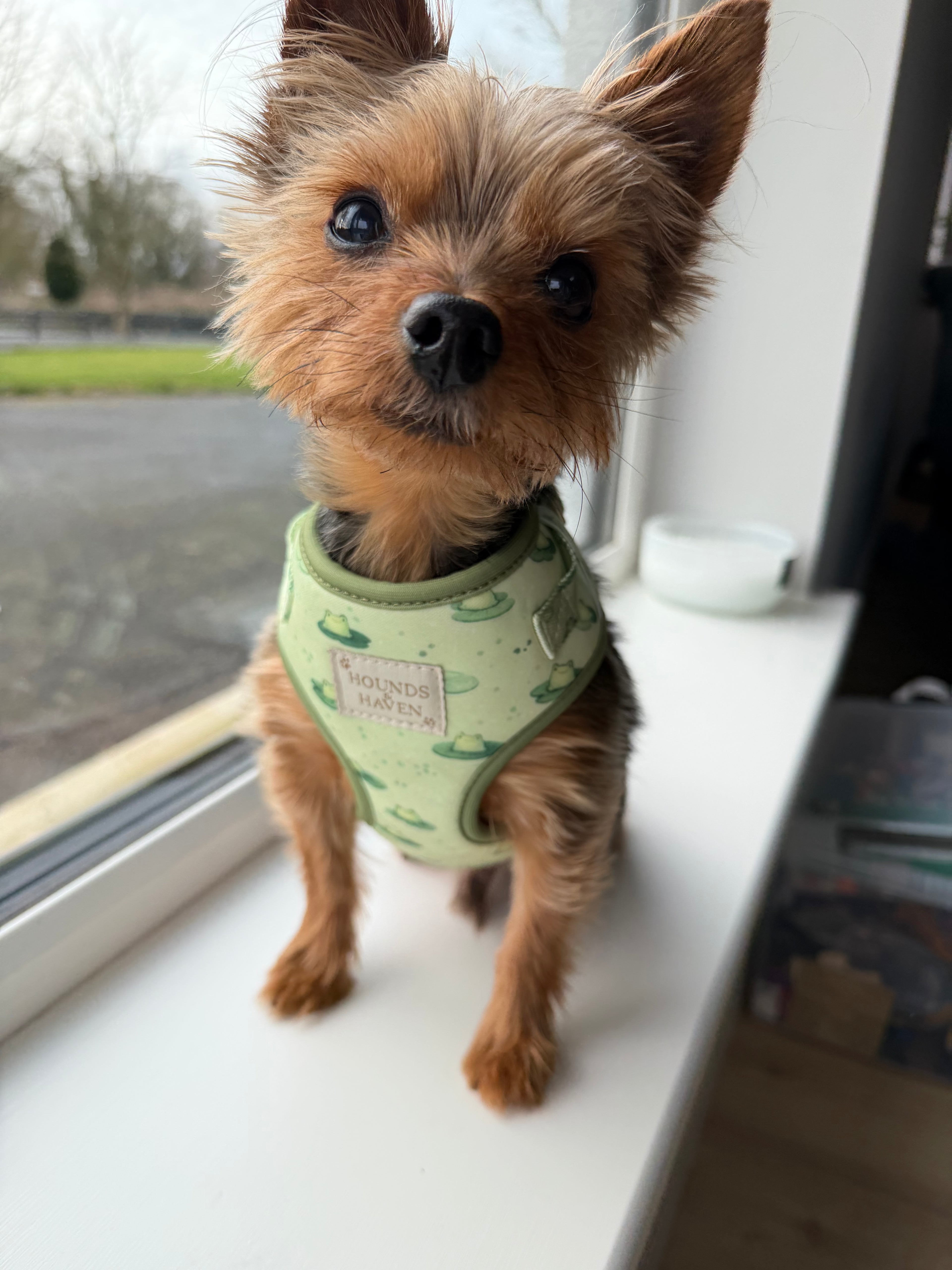 Kerm Bundle